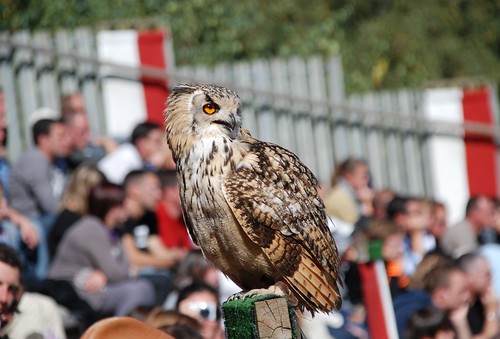 Le Puy du Fou - du 29 au 30 octobre 2012